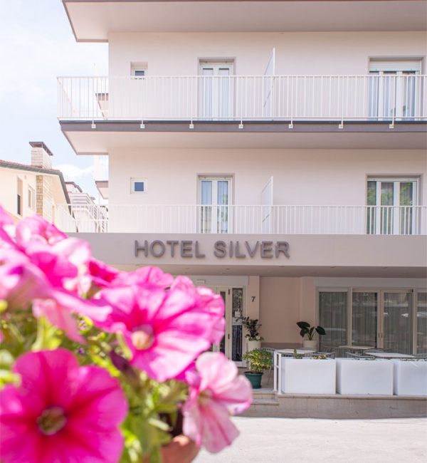 Hotel-Silver-+-appartamenti-(17) Hotel-Silver-+-appartamenti-(17)